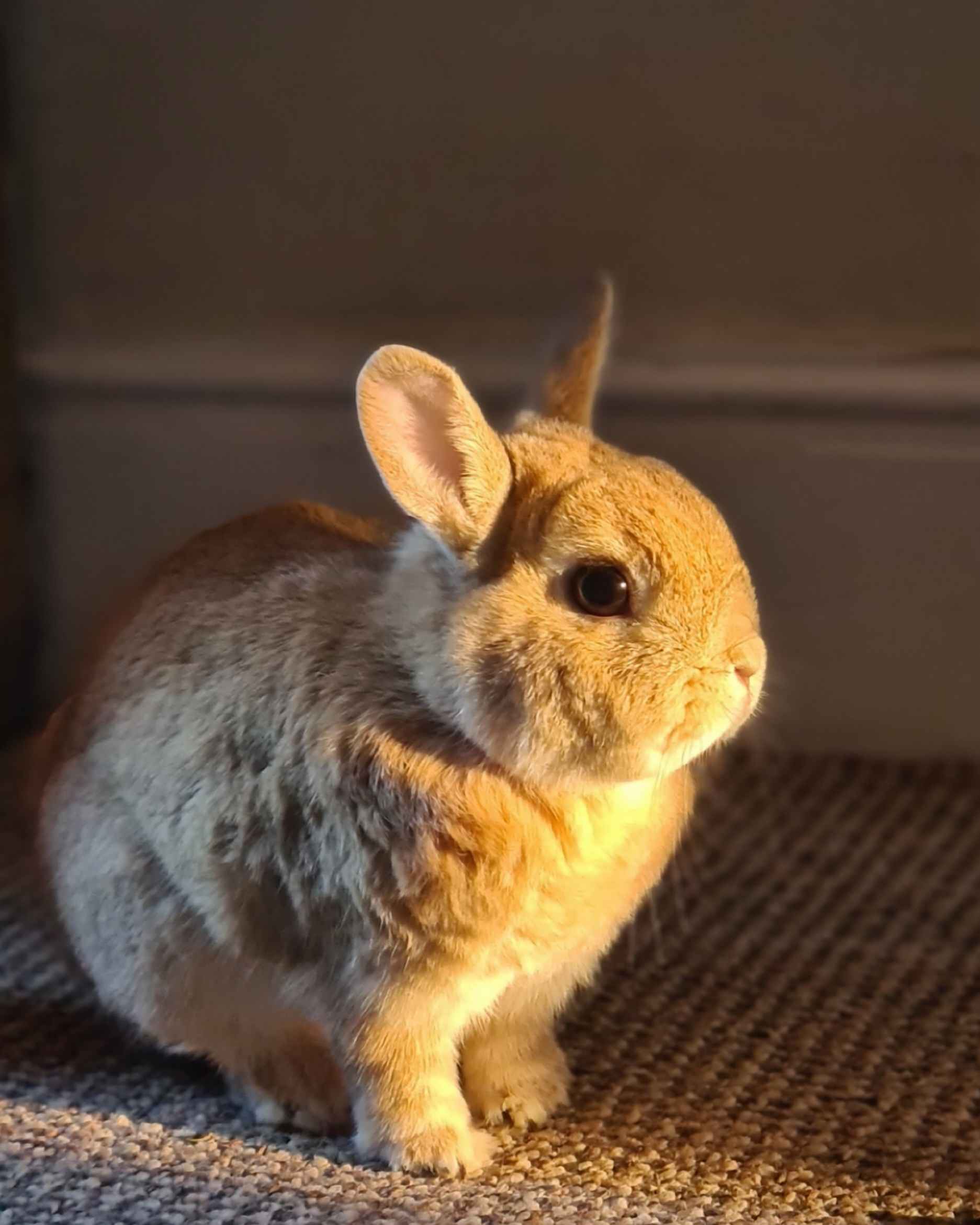 Placeholder for Barclay