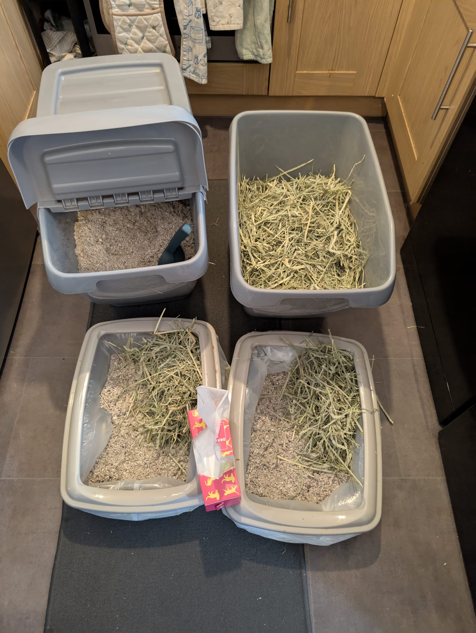 Litter trays setup and cleaning supplies