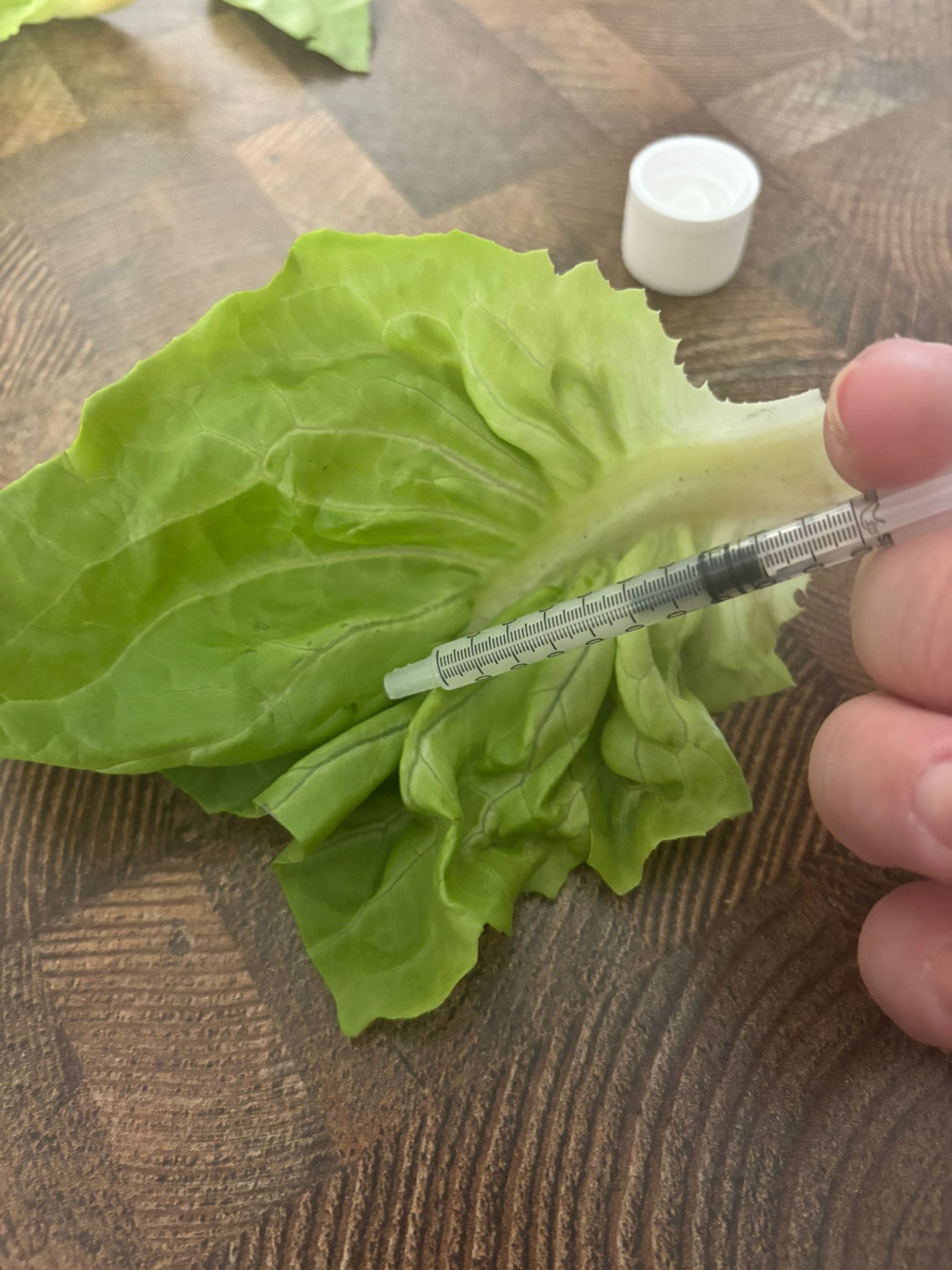 Medicine preparation step 2