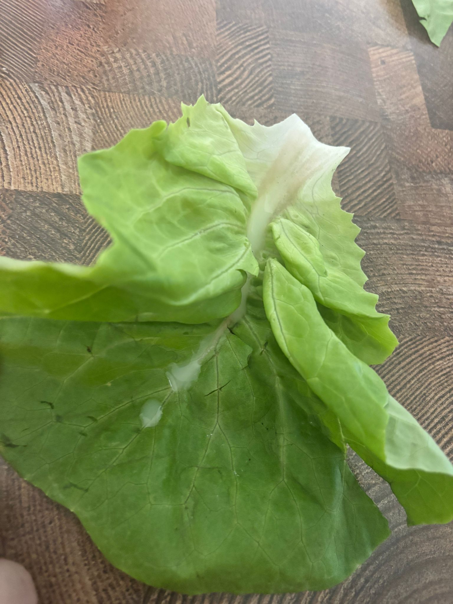 Medicine preparation step 3