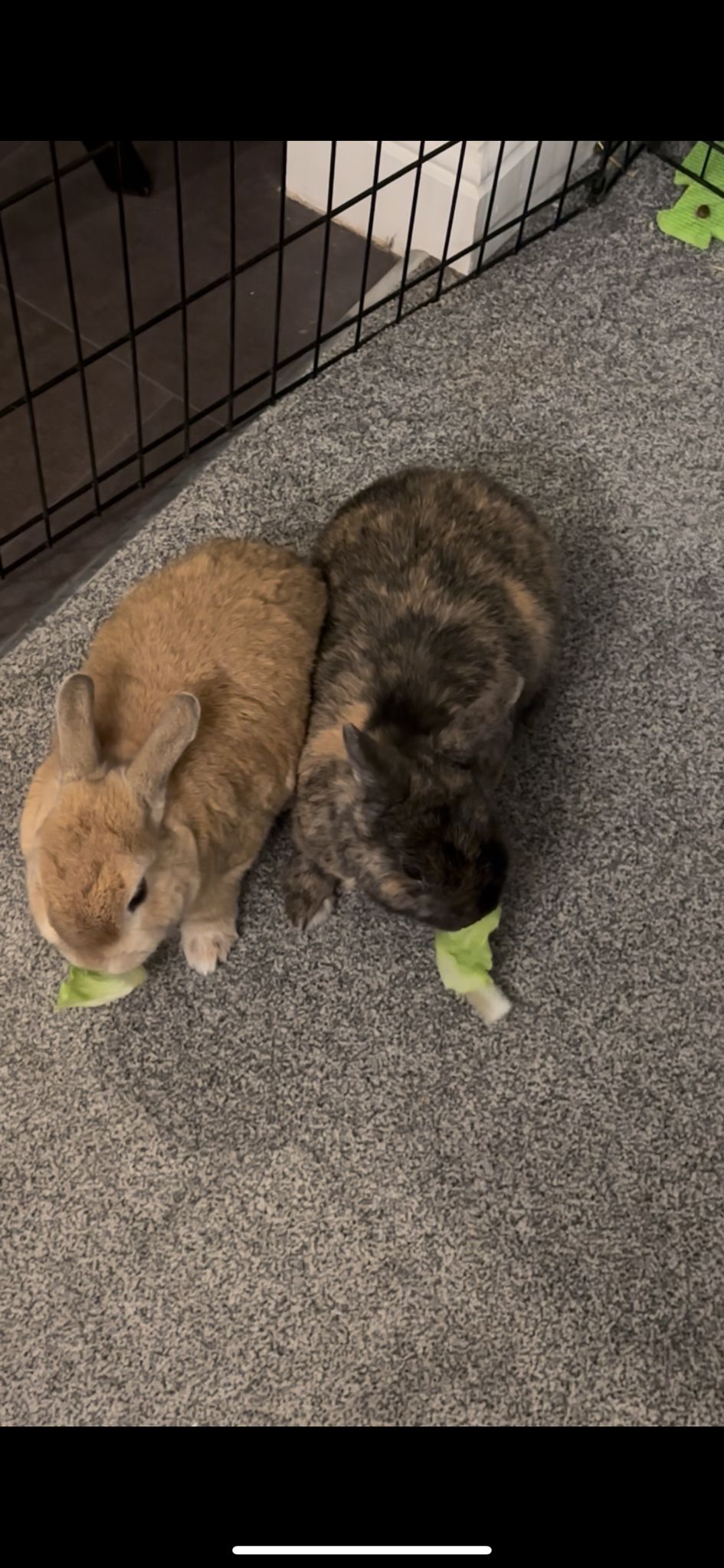 Medicine preparation step 4