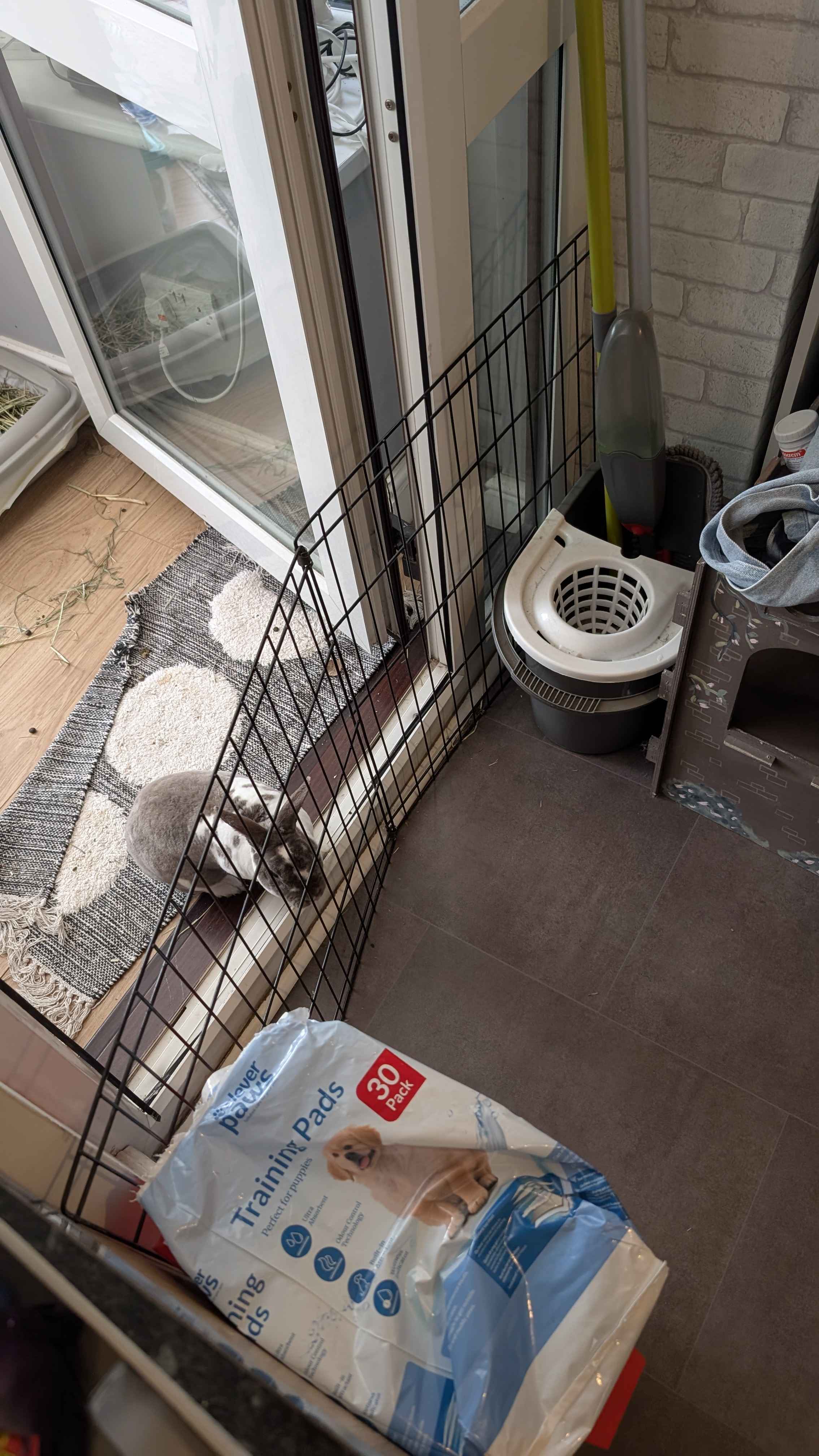 Obi's gate should be wedged shut.