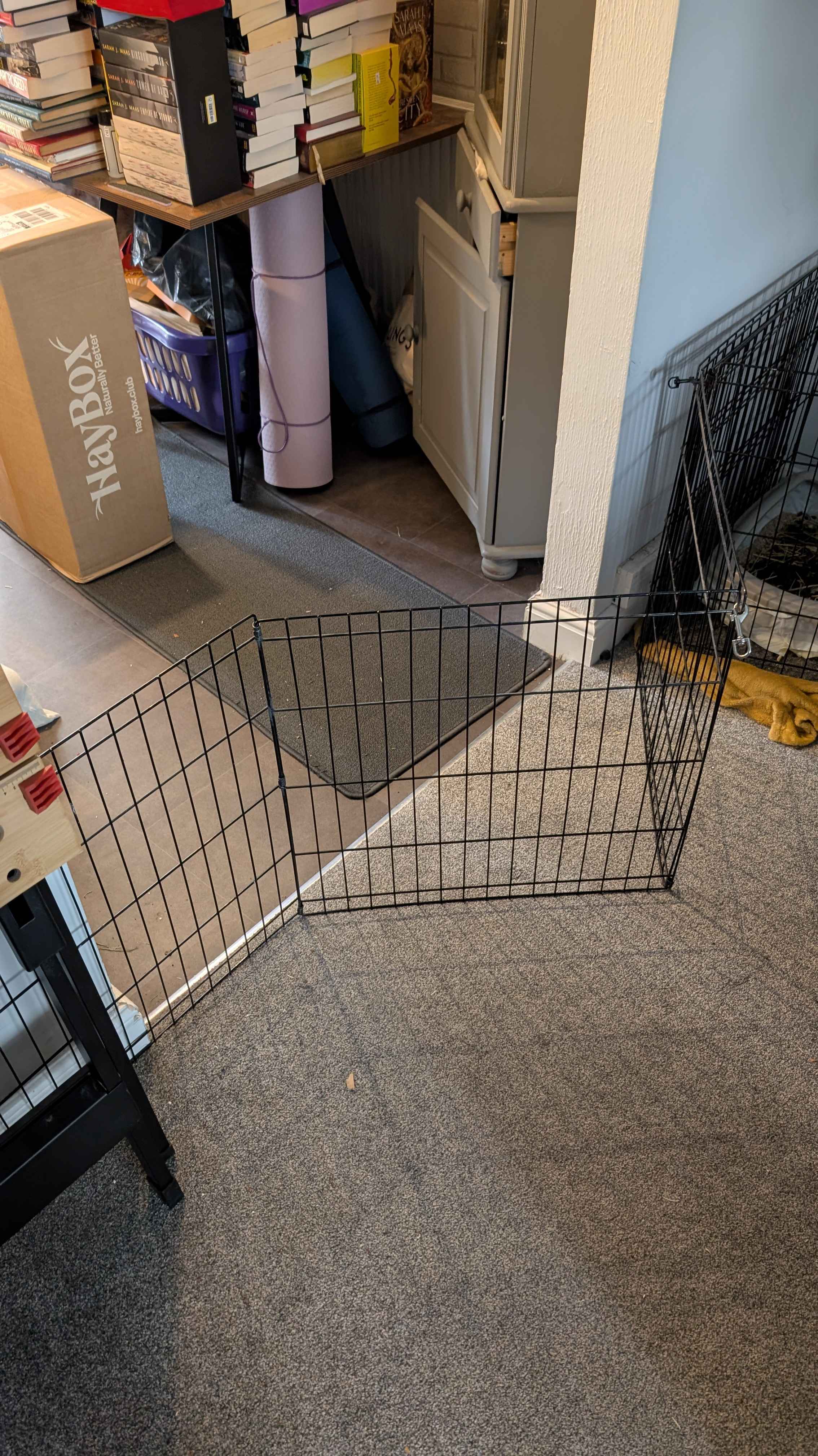 Barclay and Sisko's gate should cover the entrance to the kitchen.