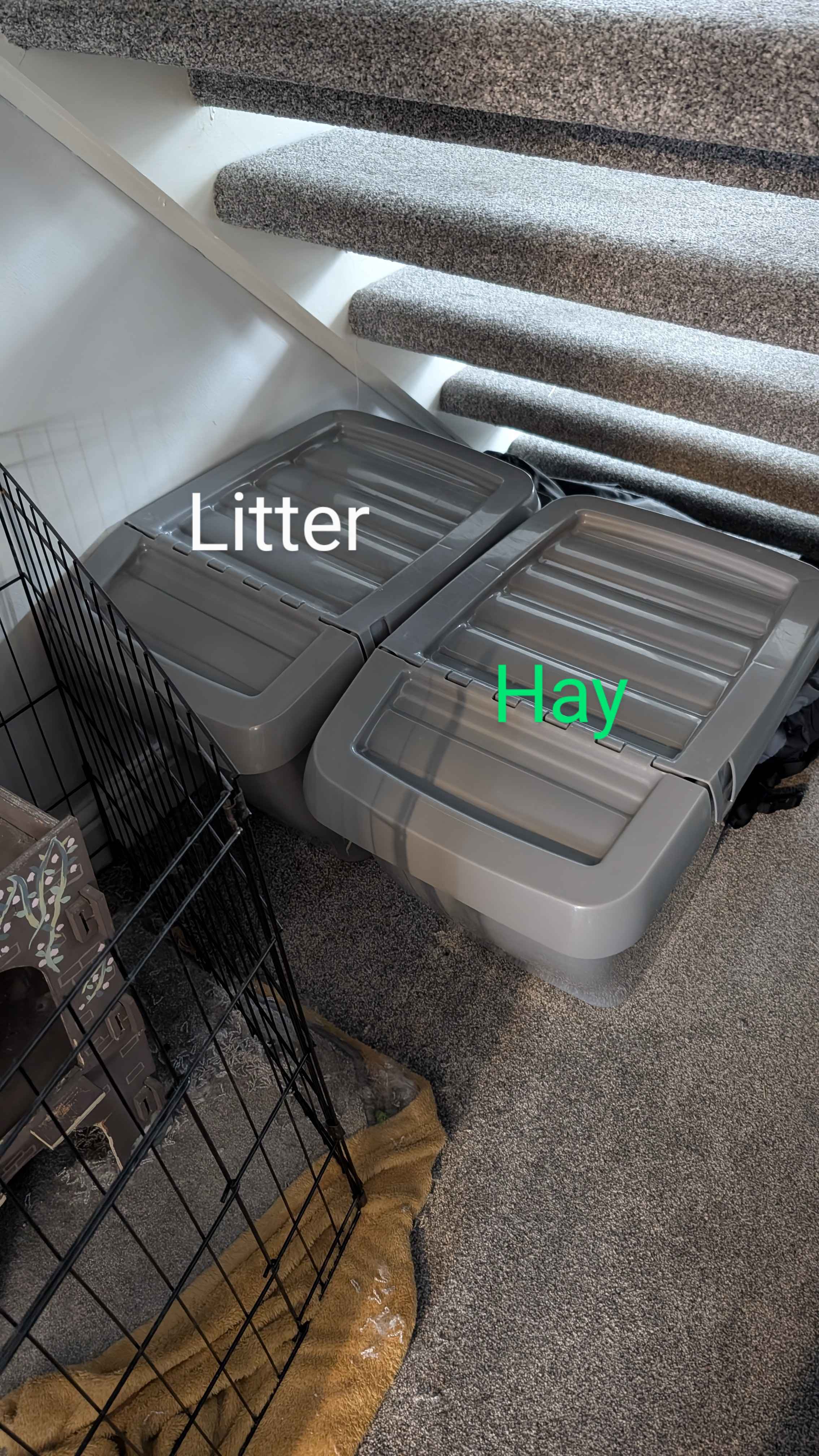 Grey tubs under the stairs: left is litter, right is hay.